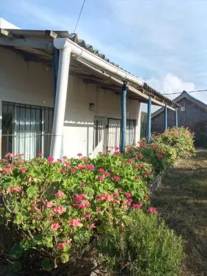 Nuevo amanecer 2 - Aguas dulces