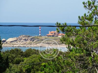 Ohana y Dos Amores - Punta del Diablo
