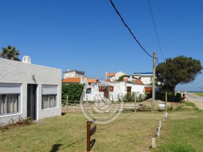 House Tonalá La Paloma