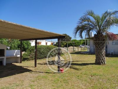 House Tonalá La Paloma