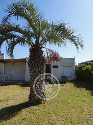 House Tonalá La Paloma