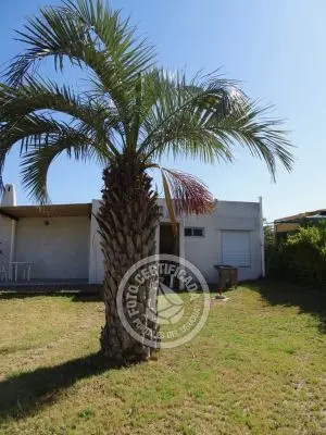 House Tonalá La Paloma