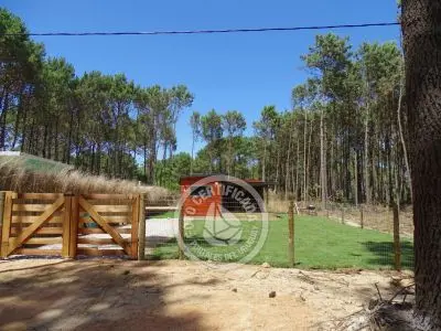 House Mar y Bosque La Paloma