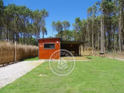 House Mar y Bosque La Paloma