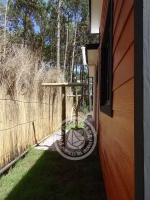 House Mar y Bosque La Paloma