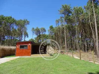 House Mar y Bosque La Paloma