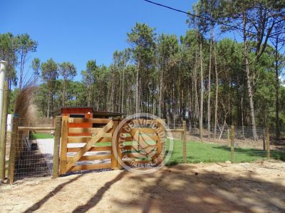 House Mar y Bosque La Paloma