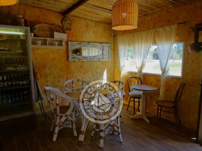 Cafeteria Delikatessen & Cía. - Pastelería Casera Punta del Diablo