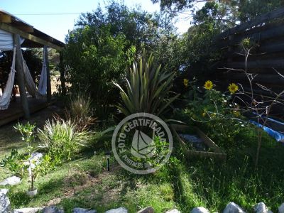 Cafeteria Delikatessen & Cía. - Pastelería Casera Punta del Diablo