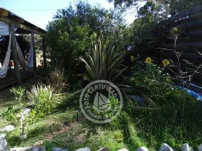 Cafeteria Delikatessen & Cía. - Pastelería Casera Punta del Diablo