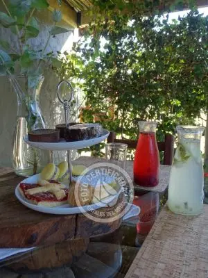 Cafeteria Delikatessen & Cía. - Pastelería Casera Punta del Diablo