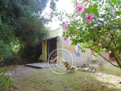 Casa viva en Arachania