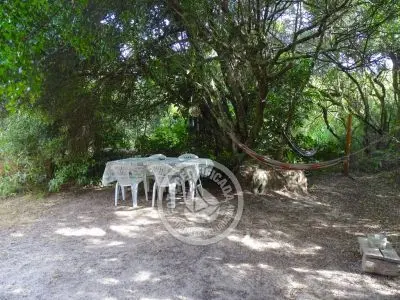 Casa Casa viva en Arachania La Paloma