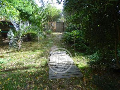 Casa Casa viva en Arachania La Paloma