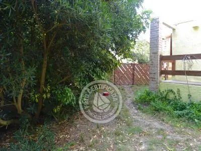 Casa Casa viva en Arachania La Paloma