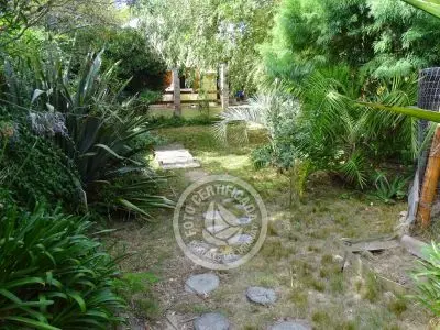 Casa Casa viva en Arachania La Paloma