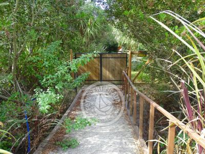 Casa Casa viva en Arachania La Paloma