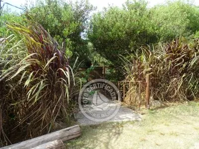 Casa Casa viva en Arachania La Paloma