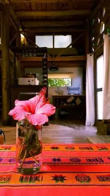 Casa Casa viva en Arachania La Paloma