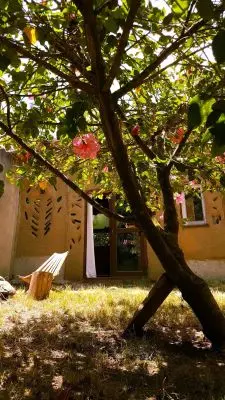 Casa Casa viva en Arachania La Paloma