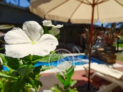 Casa Camelot Tu Lugar ... Punta del Este