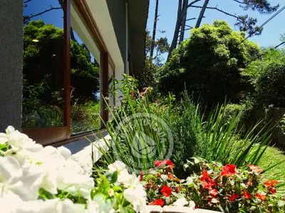 Casa Camelot Tu Lugar ... Punta del Este