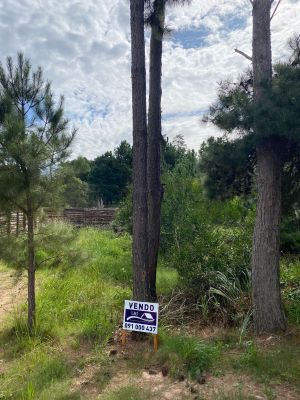 Lotes Terreno En Venta En Punta Del Diablo Punta del Diablo
