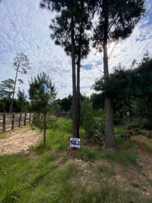 Lotes Terreno En Venta En Punta Del Diablo Punta del Diablo