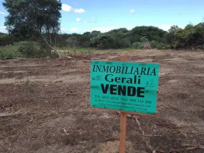 Manz 185 zona La Viuda 