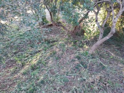 Terrenos Manz 186 S 3 Punta del Diablo