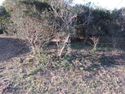 Terrenos Manz 186 S 3 Punta del Diablo