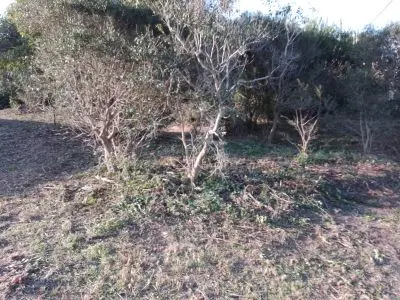 Terrenos Manz 186 S 3 Punta del Diablo