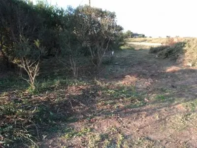 Terrenos Manz 186 S 3 Punta del Diablo
