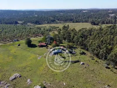 Cabaña Casa de Campo La Serena, Cerro Pelado , Lavalleja Lavalleja