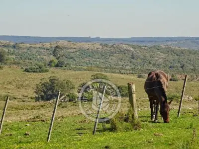 Cabaña Casa de Campo La Serena, Cerro Pelado , Lavalleja Lavalleja
