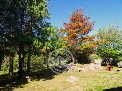 Cabaña Casa de Campo La Serena, Cerro Pelado , Lavalleja Lavalleja