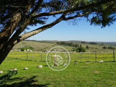Cabaña Casa de Campo La Serena, Cerro Pelado , Lavalleja Lavalleja