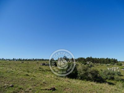 Cabaña Casa de Campo La Serena, Cerro Pelado , Lavalleja Lavalleja