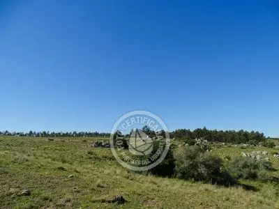 Cabaña Casa de Campo La Serena, Cerro Pelado , Lavalleja Lavalleja
