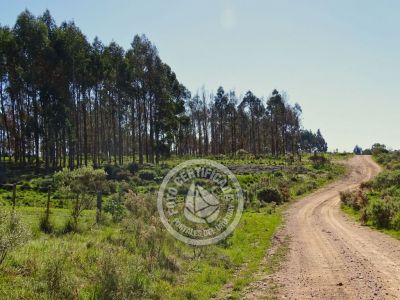 Referencias del camino para llegar a Casa de campo La Serena, CONTINUAR HASTA CARTEL LA SERENA Y DOBLAR A LA IZQUIERDA