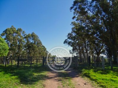 Referencias del camino para llegar a Casa de campo La SerenapASAR PROTERA DE MADERA HASTA LA PRÓXIMA DE ALAMBRE