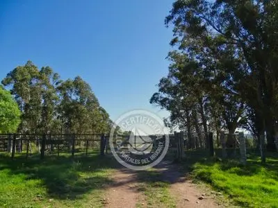 Referencias del camino para llegar a Casa de campo La SerenapASAR PROTERA DE MADERA HASTA LA PRÓXIMA DE ALAMBRE