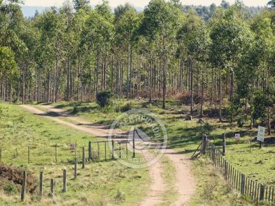 Referencias del camino para llegar a Casa de campo La Serena - CRUZAR Segunda portera y casa La Serena a la Izquierda