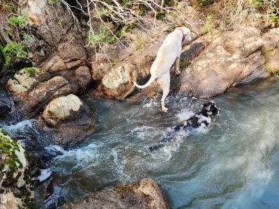 Casa Casa de Campo La Serena, Cerro Pelado - Lavalleja Sierras de Minas