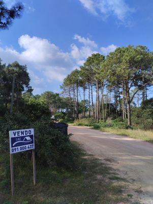 Se Ofrece Terreno En Venta A 200m De Playa Grande