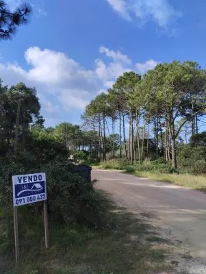 Se Ofrece Terreno En Venta A 200m De Playa Grande