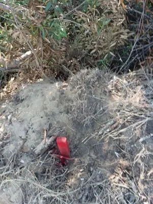 Terrenos Manz 249 s 5 Punta del Diablo