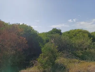 Terrenos Manz 249 s 5 Punta del Diablo