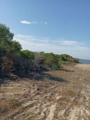 Terrenos Manz 249 s 5 Punta del Diablo