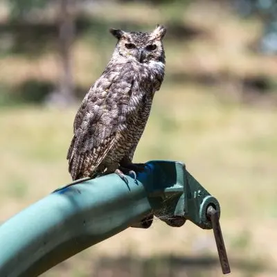 Apart-Hotel Casa de Piedra Lavalleja